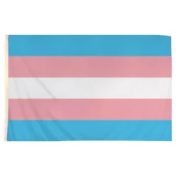 Flagga Transgender