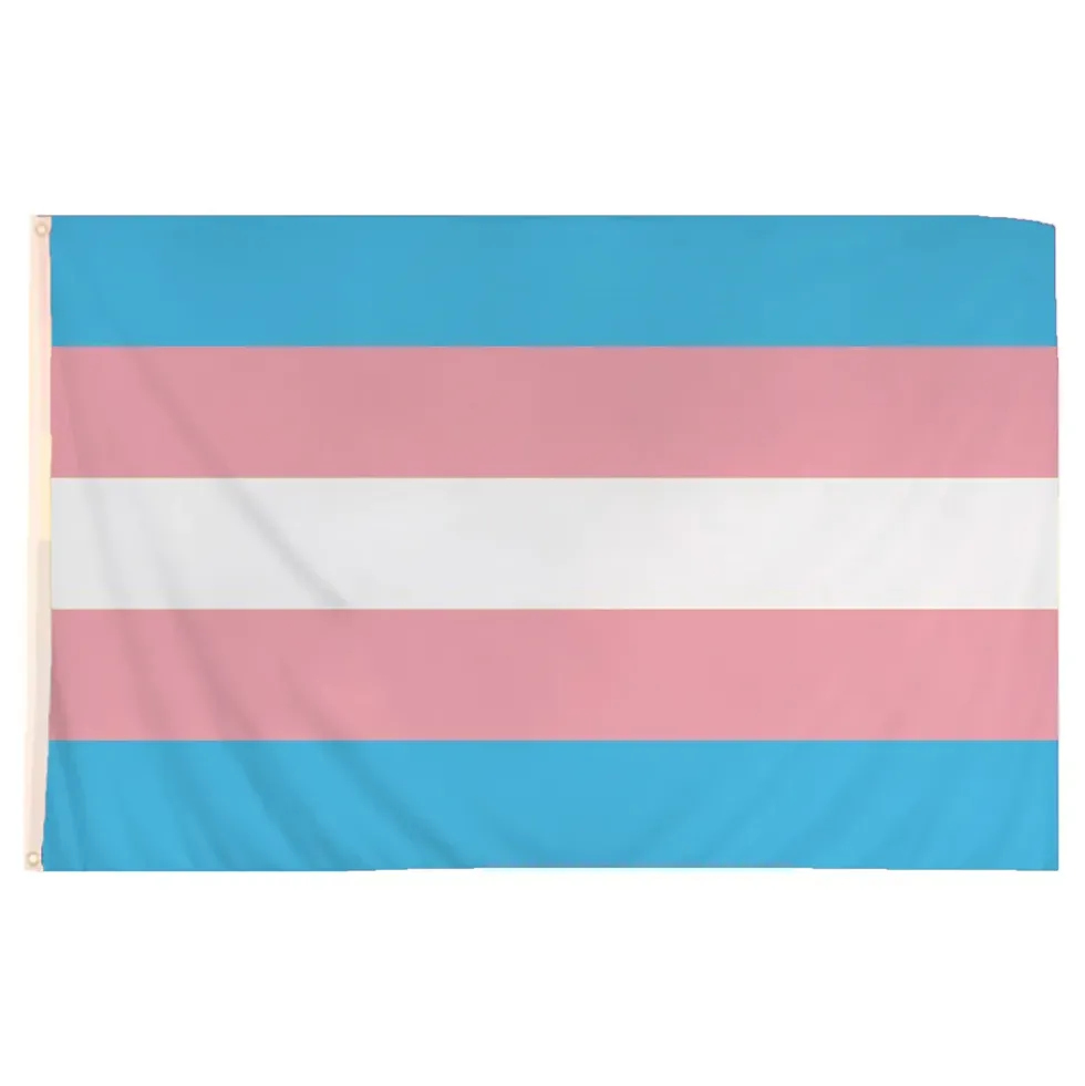 Flagga Transgender