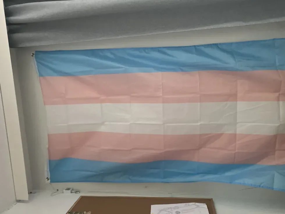 Flagga Transgender