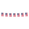 Flaggirlang USA