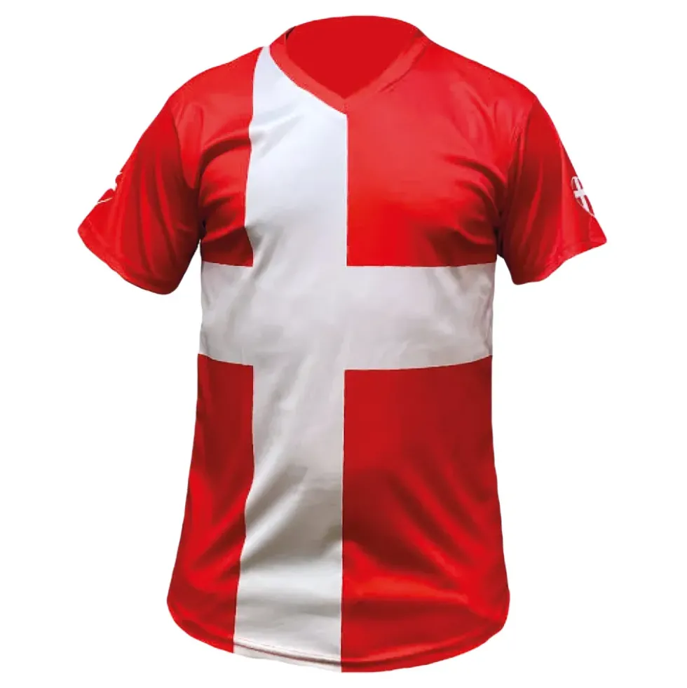 Flaggtröja Danska Flaggan