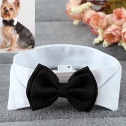 Fluga för Hund
