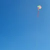 Flygdrake