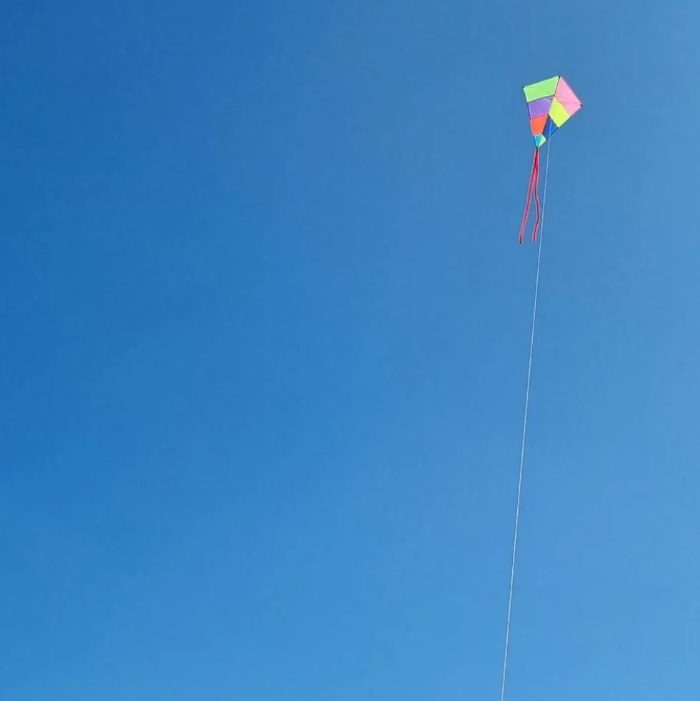 Flygdrake
