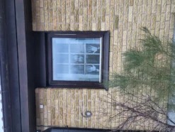 Fönsterdekoration Kvinna
