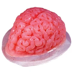 Gelatinform Hjärna