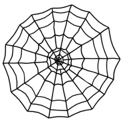 Gigantiskt Spindelnät Svart