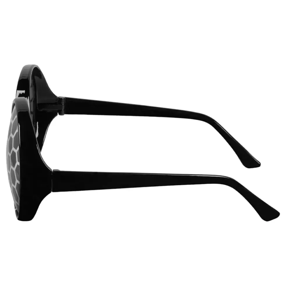 Glasögon Fluga