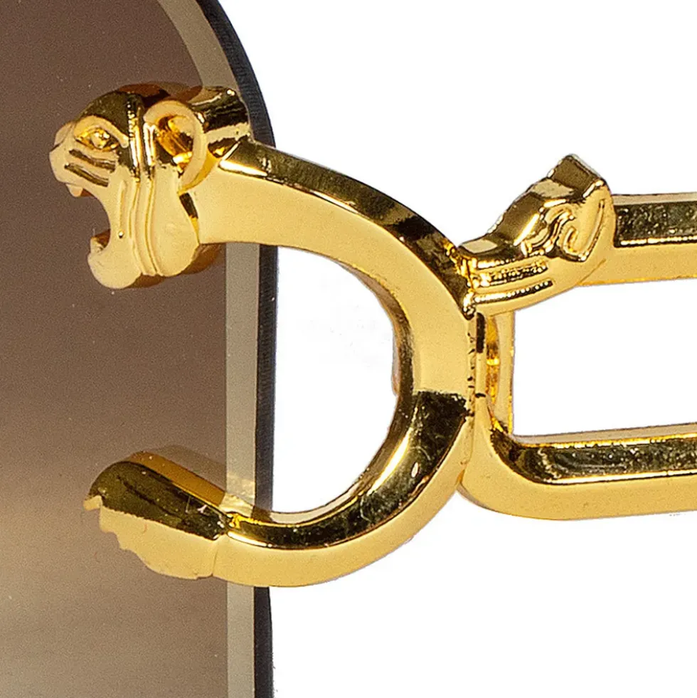Glasögon Guld Leopard