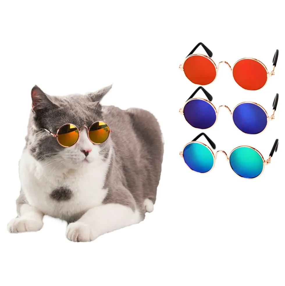 Glasögon till Katt/Hund