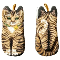 Grytvantar Katter