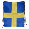 Gympapåse Svenska Flaggan