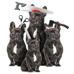 Halloween Props för Hund