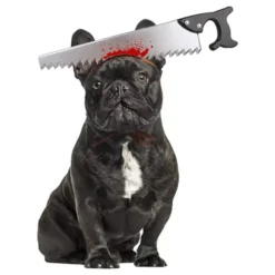 Halloween Props för Hund