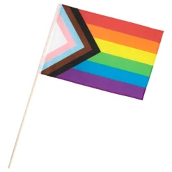 Handflagga i Polyester Pride Progress