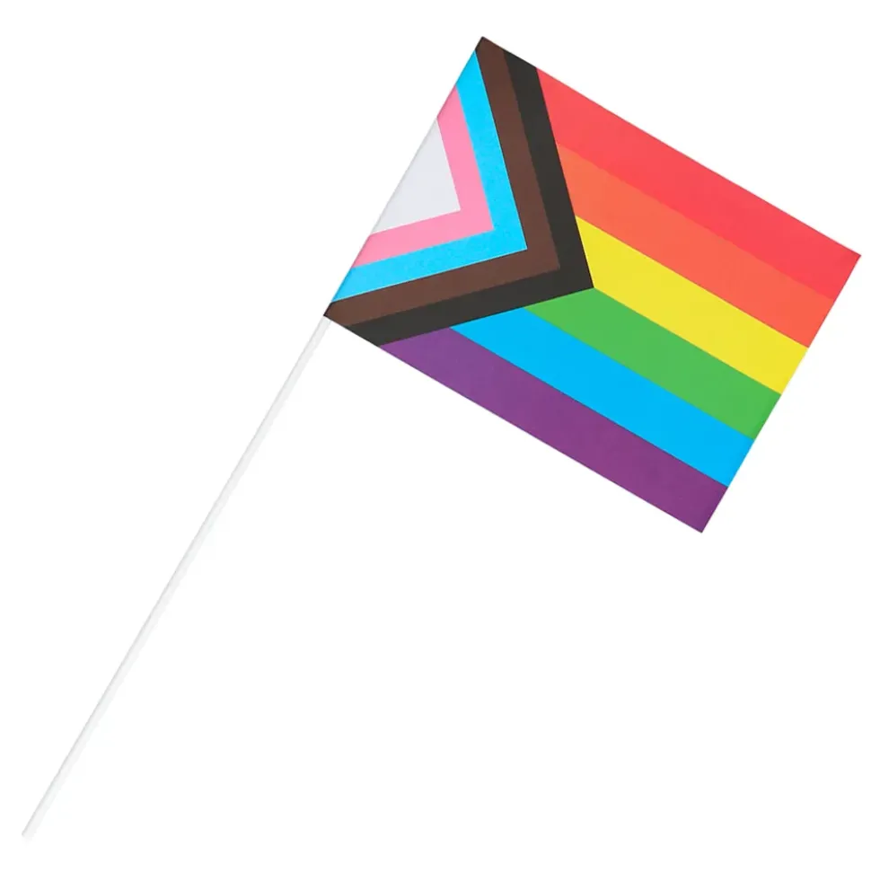 Handflaggor Pride Progress