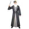 Harry Potter Dumbledore Maskeraddräkt