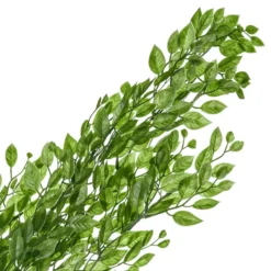 Hängande Blad Grön