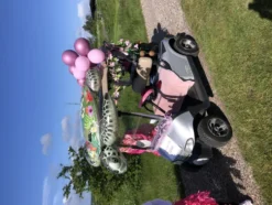 Interiörkit Bil Rosa