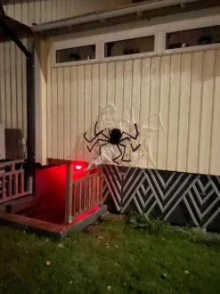 Jättespindel