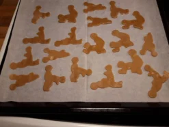 Kama Sutra Kakformar