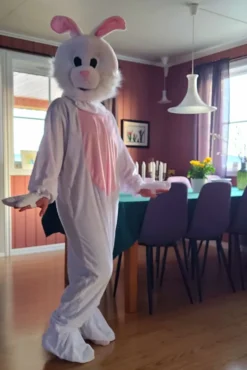 Kanin Maskot Maskeraddräkt