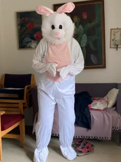 Kanin Maskot Maskeraddräkt