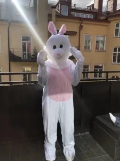Kanin Maskot Maskeraddräkt
