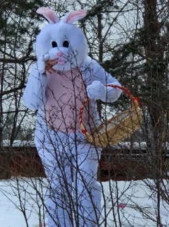 Kanin Maskot Maskeraddräkt