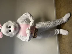 Kanin Maskot Maskeraddräkt