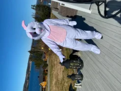 Kanin Maskot Maskeraddräkt