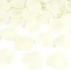 Konfettikanon Rosblad Krämvit