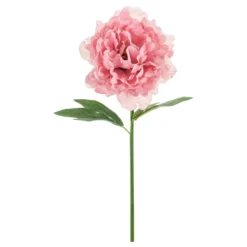 Konstgjord Blomma Pion Rosa