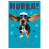 Kort Examen Hurra!