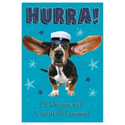Kort Examen Hurra!