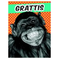 Kort Mini Apa