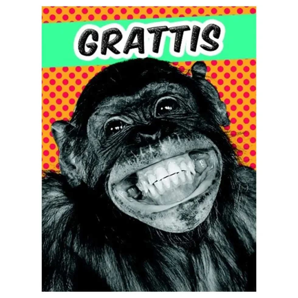 Kort Mini Apa