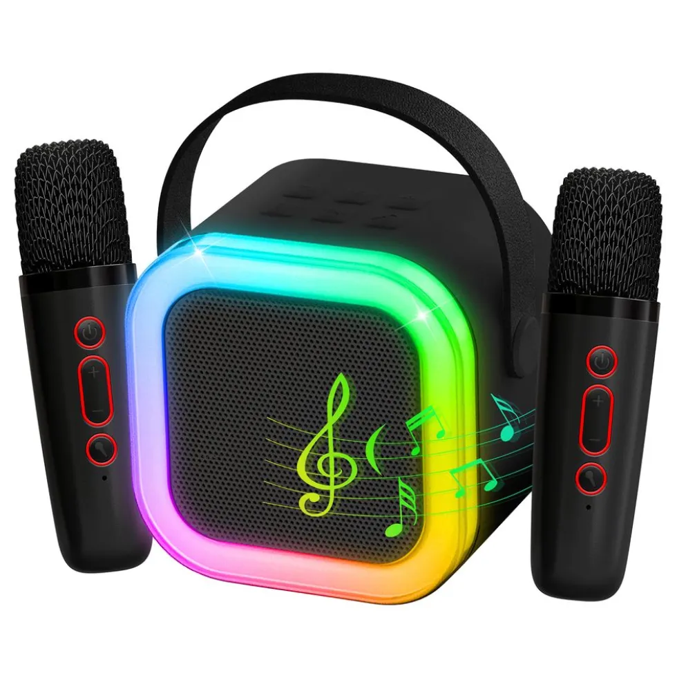LED Mini Karaokehögtalare med Mikrofoner