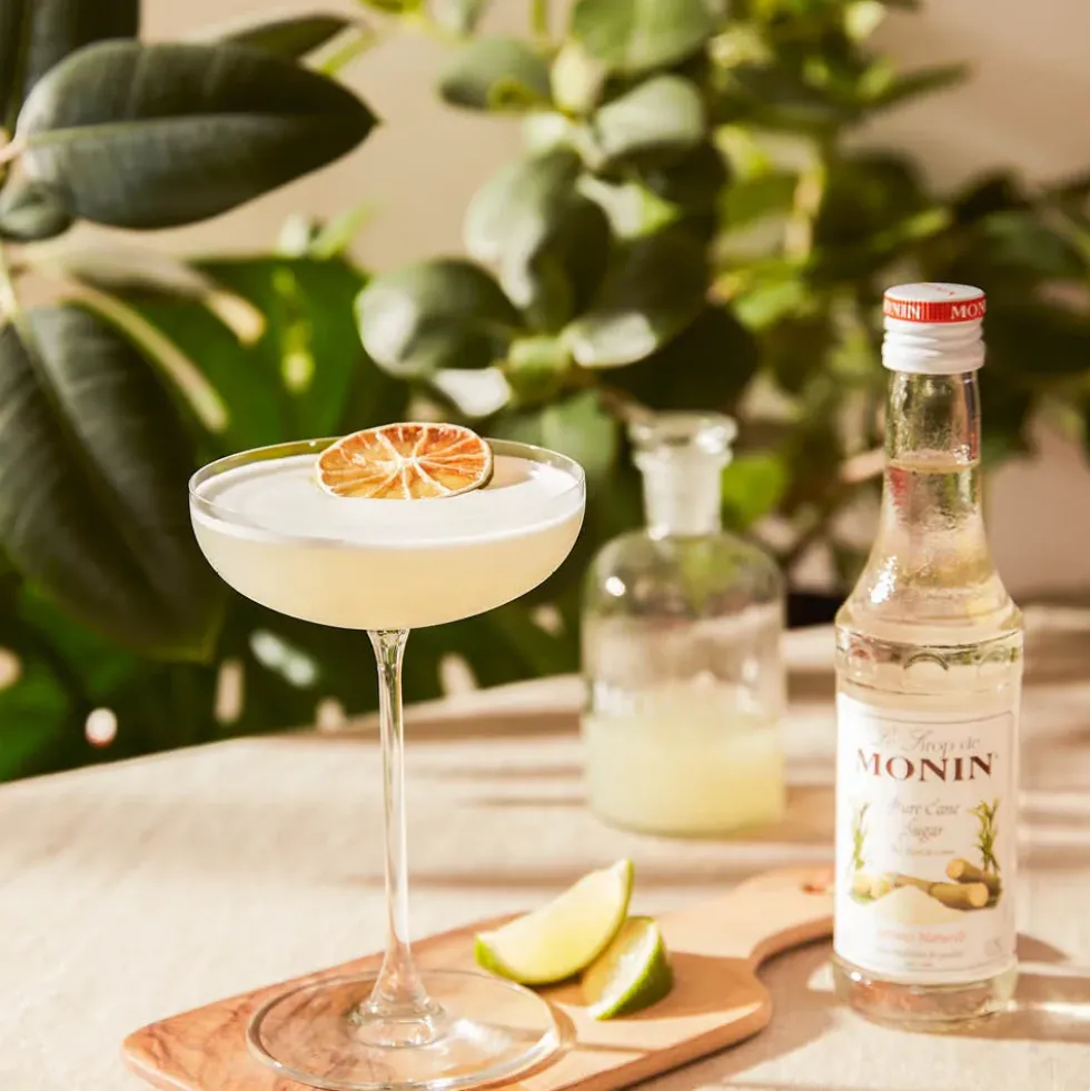 Monin Cane Sugar Syrup 25 cl