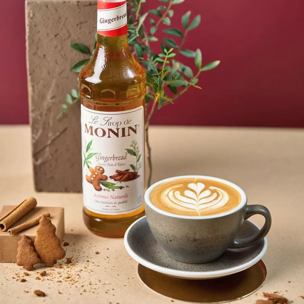 Monin Gingerbread Syrup