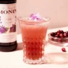 Monin Violet Syrup
