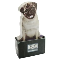 Mustard Dog In A Box Sticky Notes