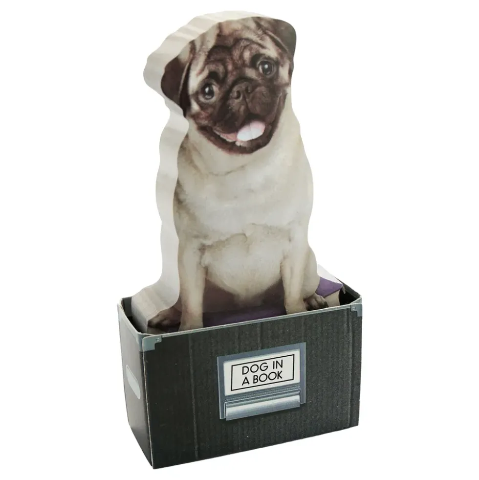Mustard Dog In A Box Sticky Notes