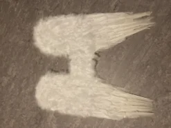 Änglavingar Vit