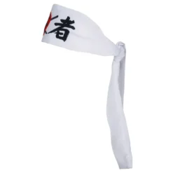 Pannband Karate