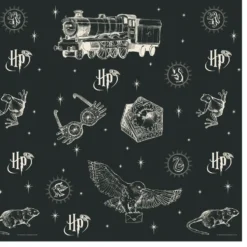 Pappersduk Harry Potter™