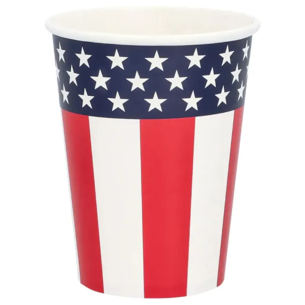 Pappersmuggar American Party