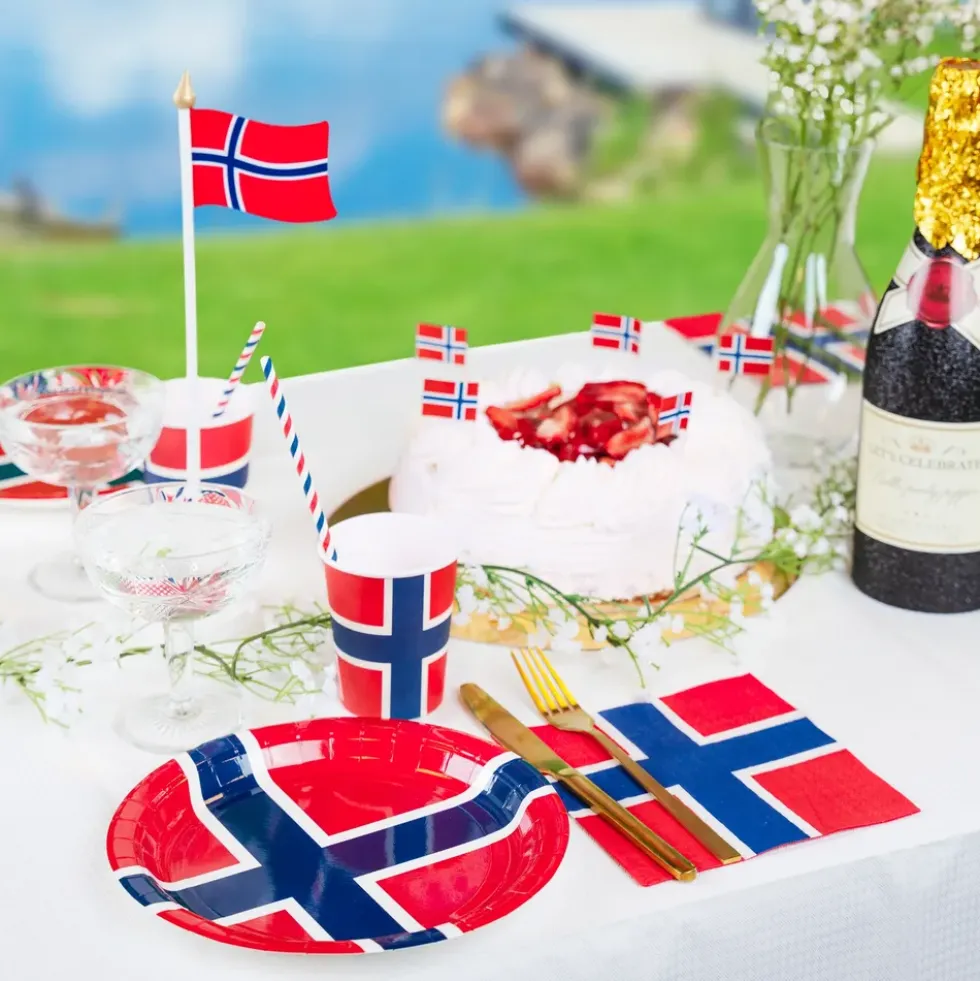 Papperstallrikar Norska Flaggan