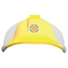 Partyhattar Brandman Sam