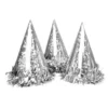 Partyhattar Silver Metallic